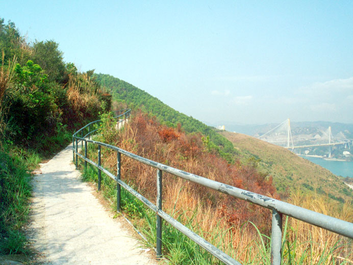 Photo 5: Tsing Yi Nature Trails