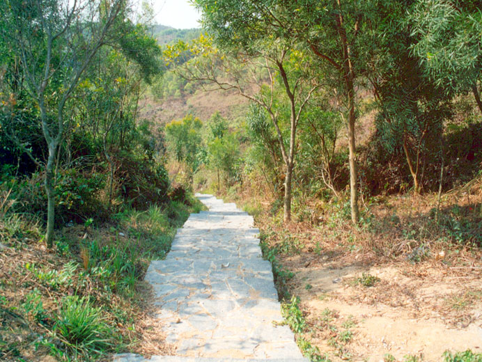 Photo 6: Tsing Yi Nature Trails