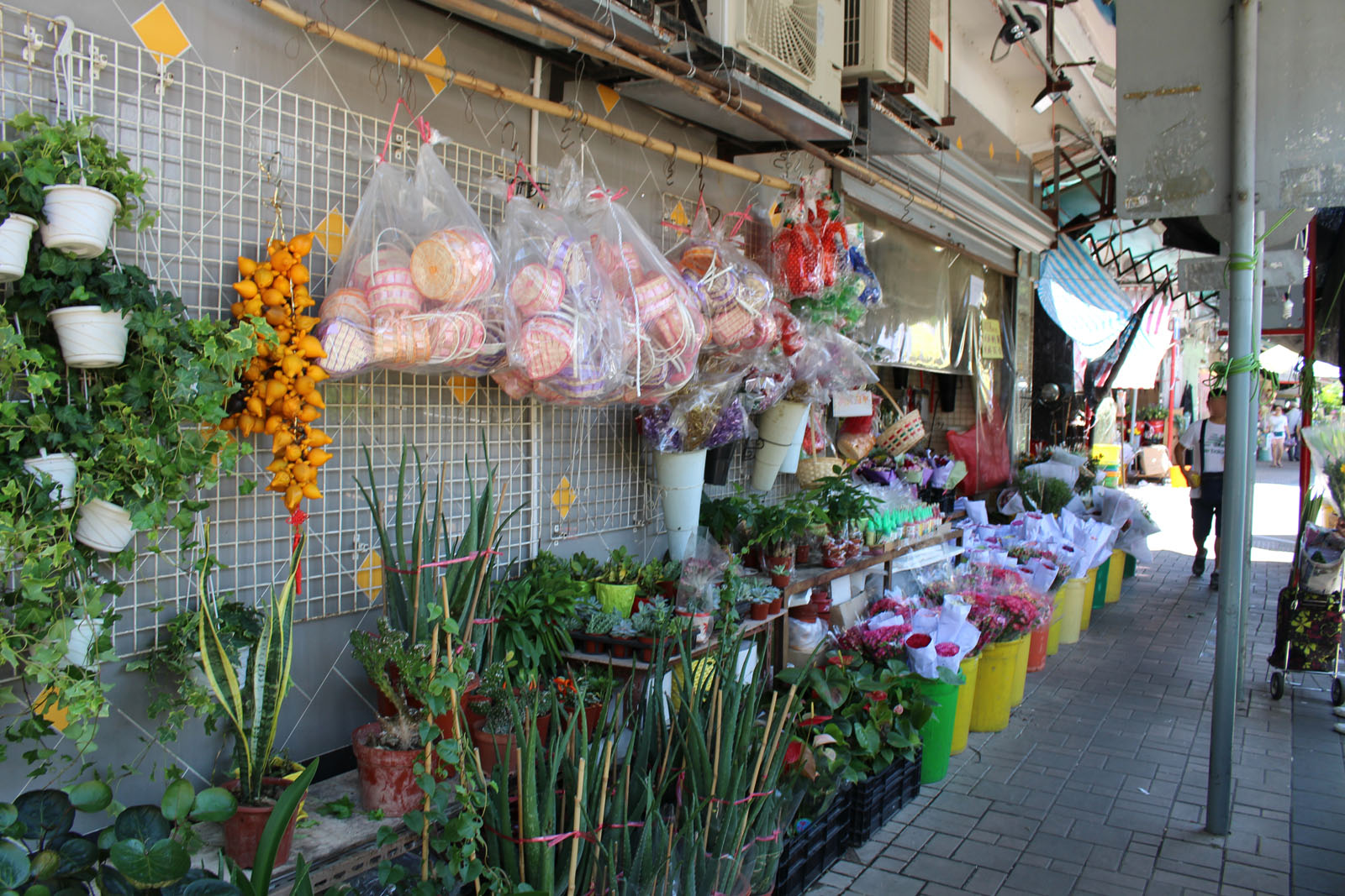 Photo 4: Flower Market Road