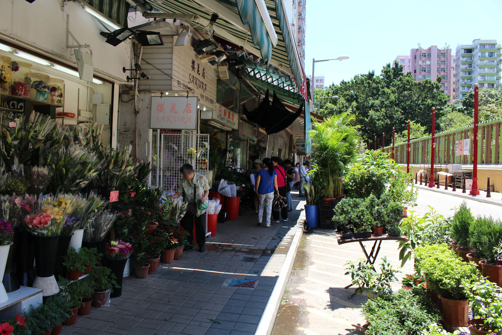 Photo 7: Flower Market Road