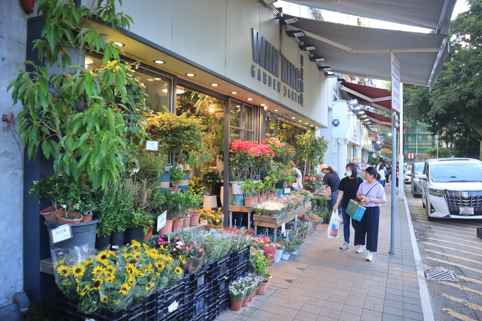 相片 10: 花墟道