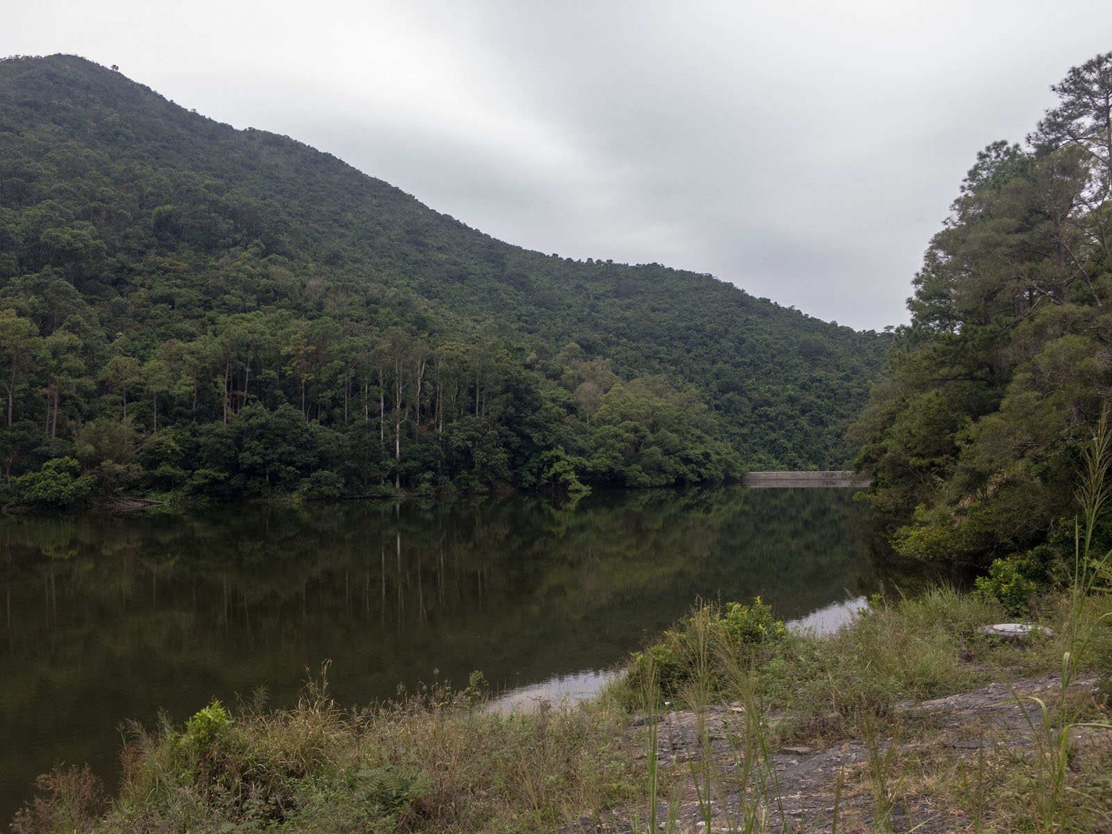 相片 2: 流水嚮水塘