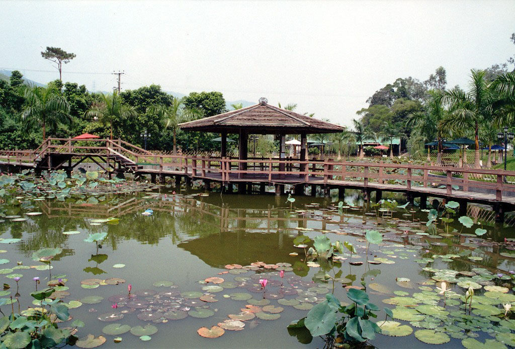 大棠有機生態園