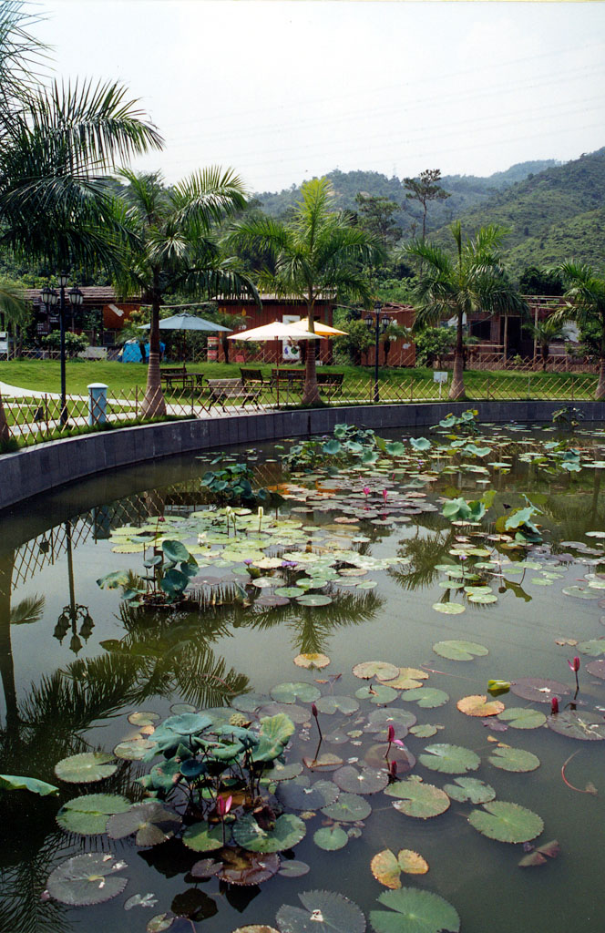 Photo 2: Tai Tong Organic Ecopark