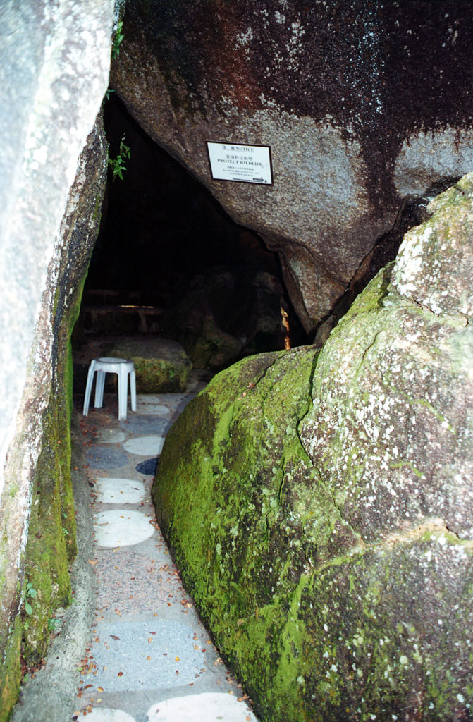 Photo 12: Tai Tong Organic Ecopark