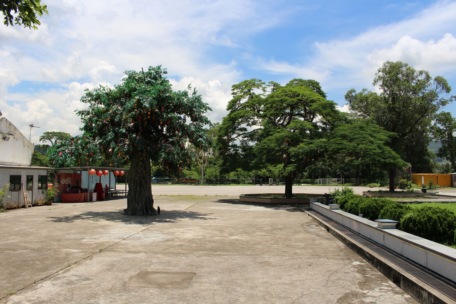 Photo 6: Lam Tsuen Wishing Square (including Wishing Tree) and Chinese Zodiac Square