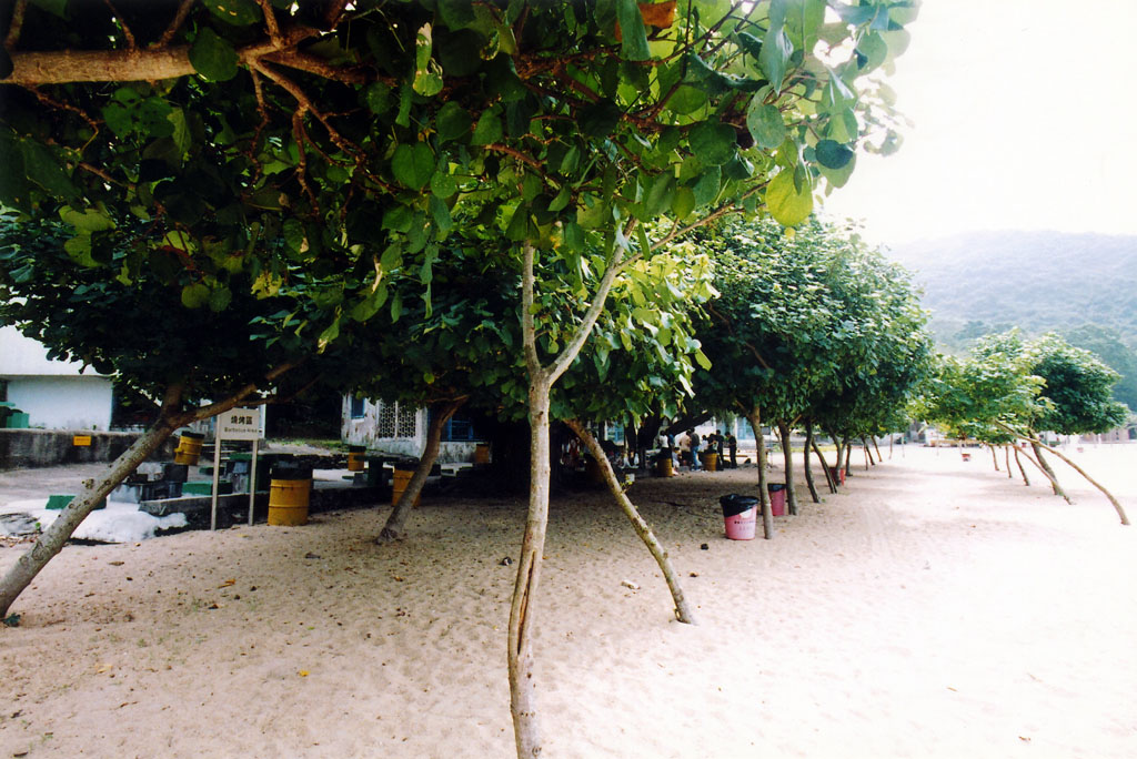 Photo 5: South Bay Beach