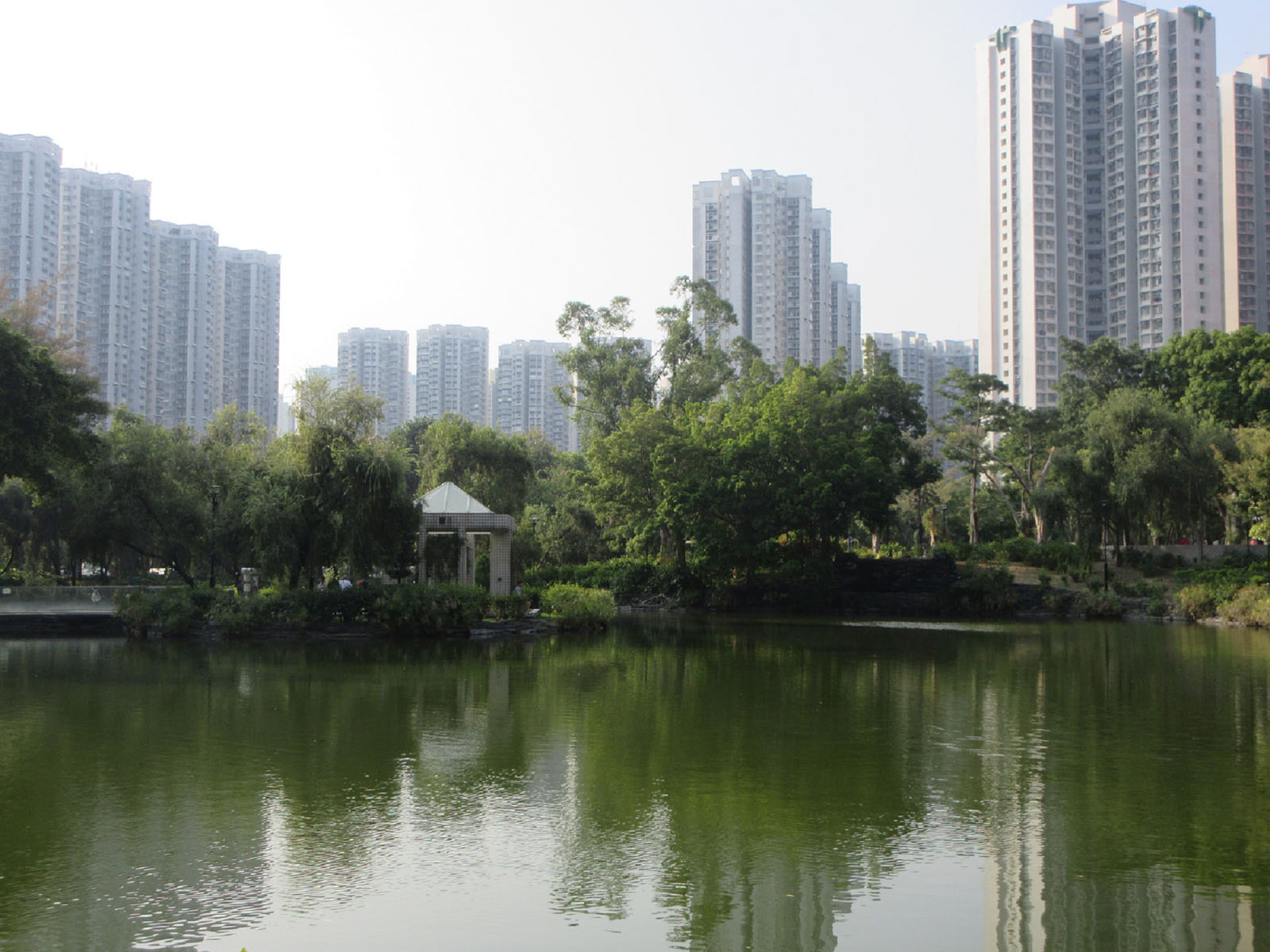 Photo 4: Tin Shui Wai Park