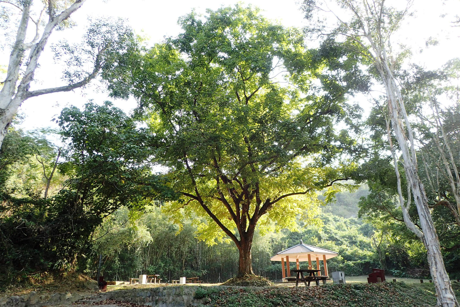 Photo 11: Tai Lam Country Park