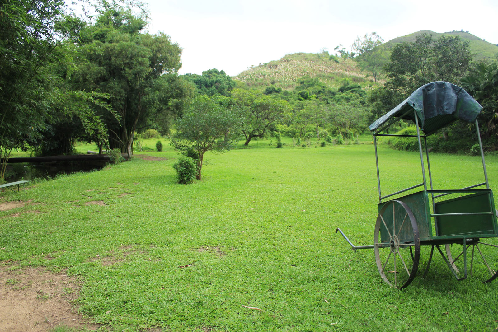 Photo 3: Holiday Farm