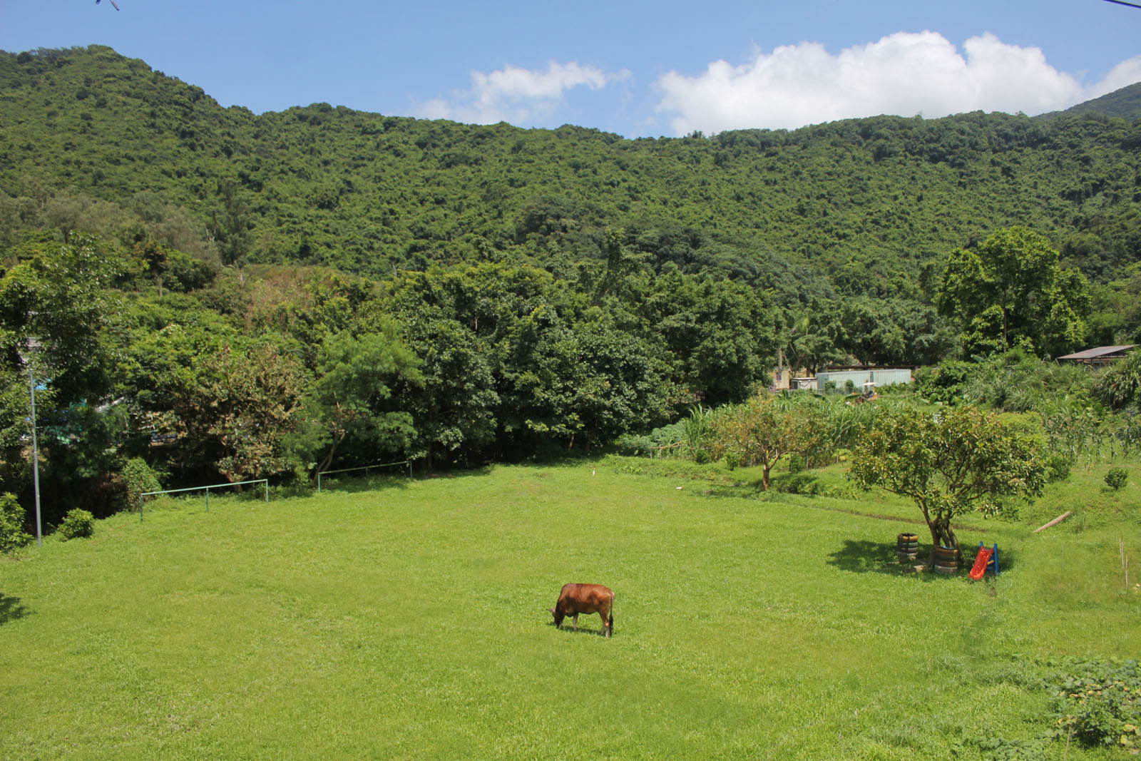 Photo 5: Holiday Farm