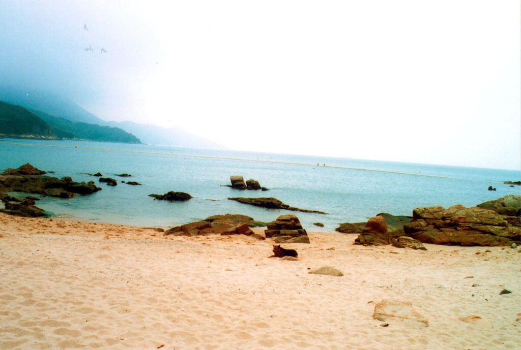 Photo 5: Hung Shing Yeh Beach