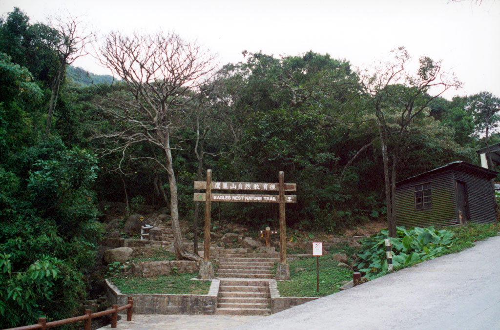 相片 3: 獅子山郊野公園