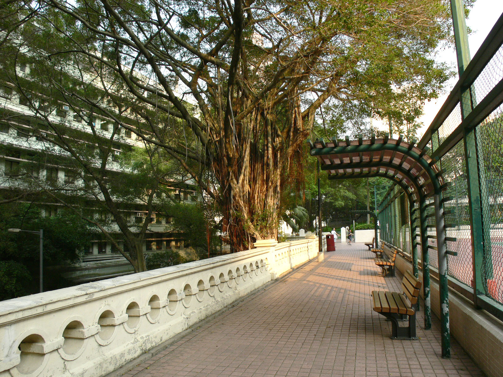 Photo 8: King George V Memorial Park, Hong Kong