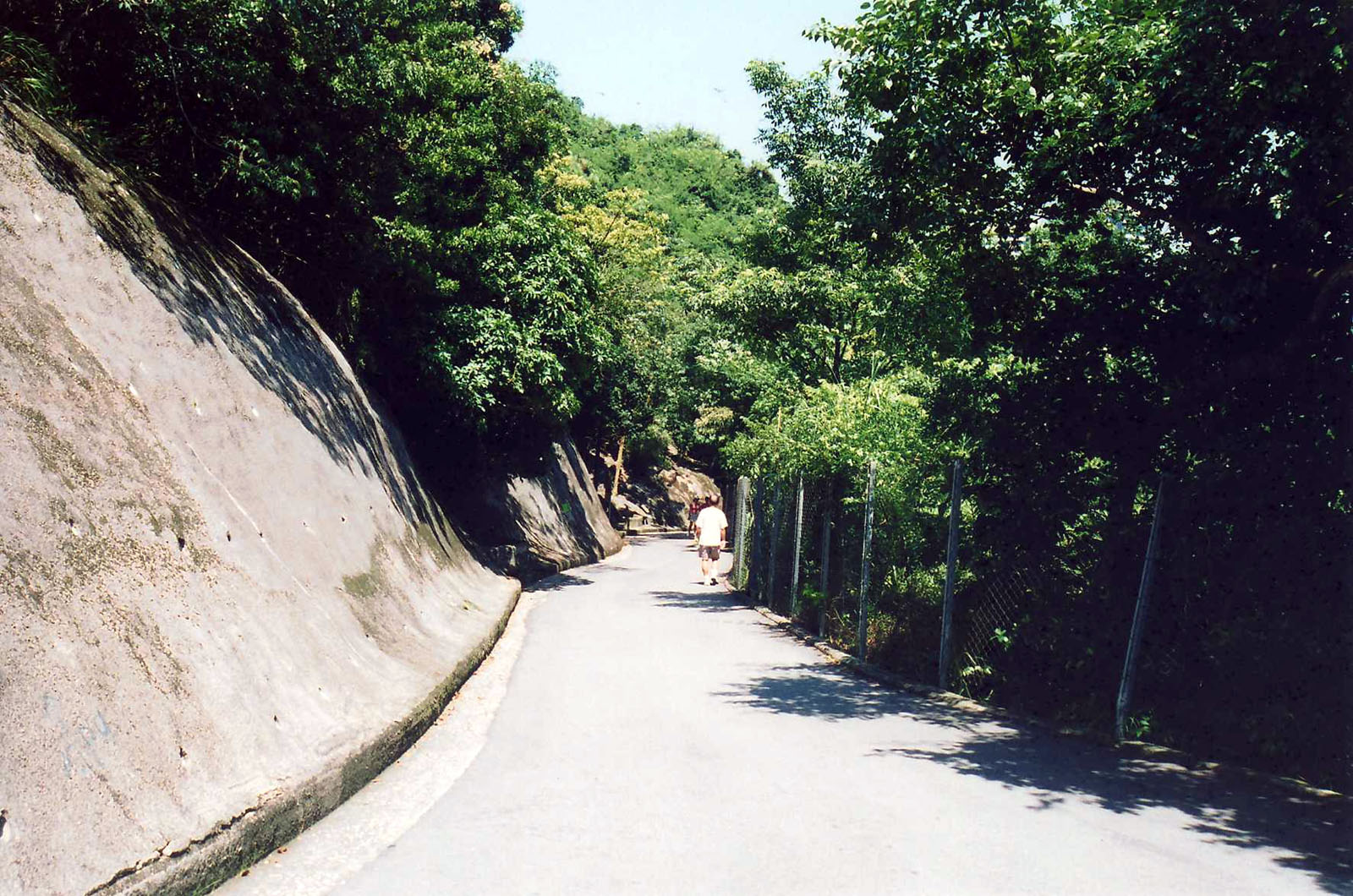 Photo 3: Mount Parker Road Green Trail Stations 10 to 12 (Hong Kong Trail)