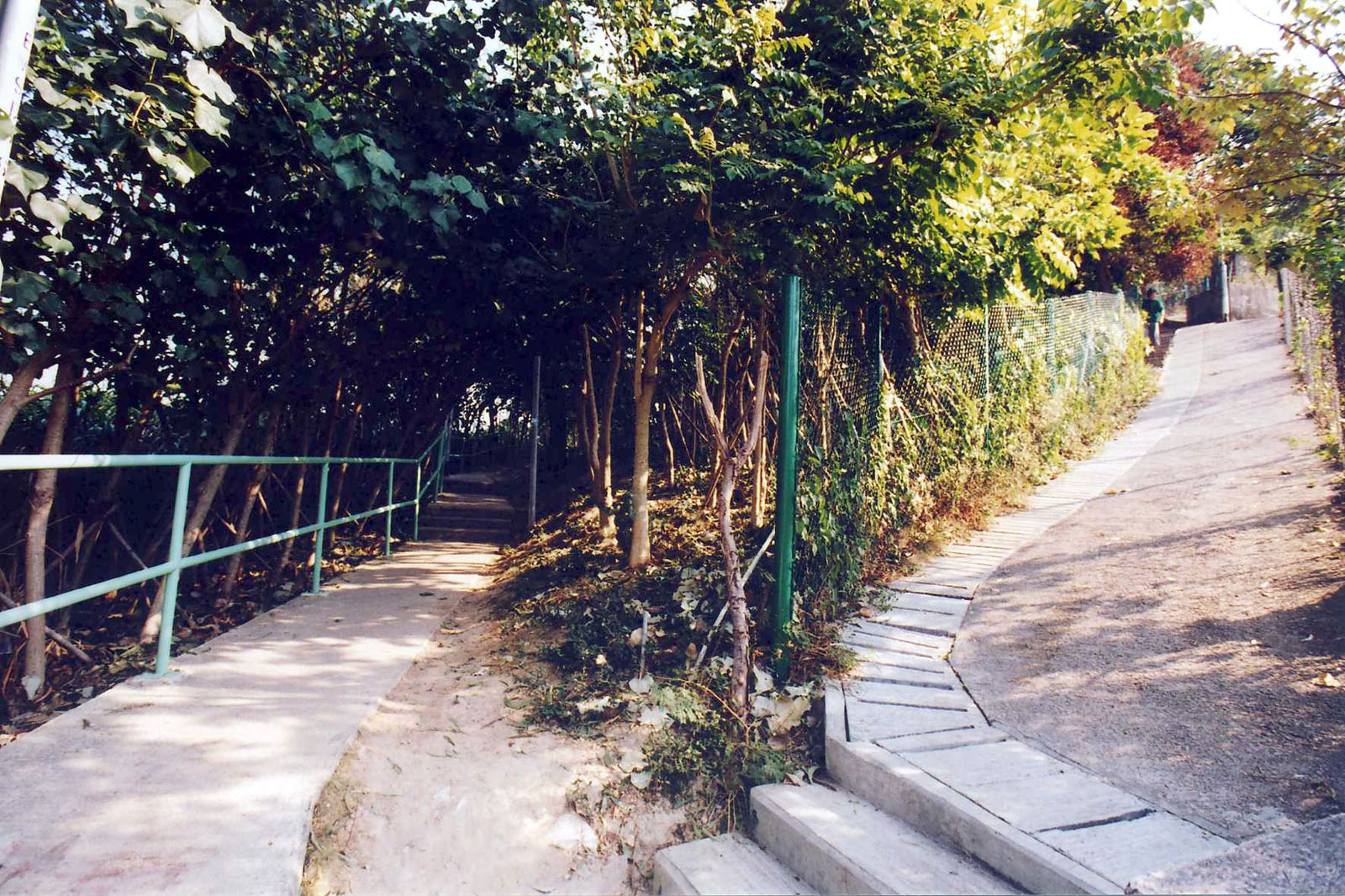 Leaping Dragon Pavilion, Tidal Melody Paradise and Leafy Shade Paradise