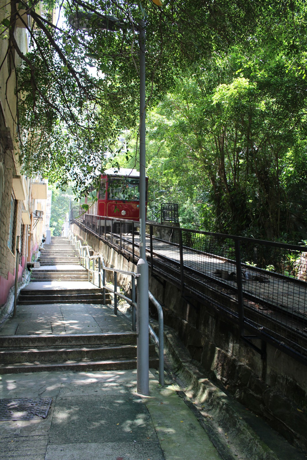 Photo 2: Central Green Trail