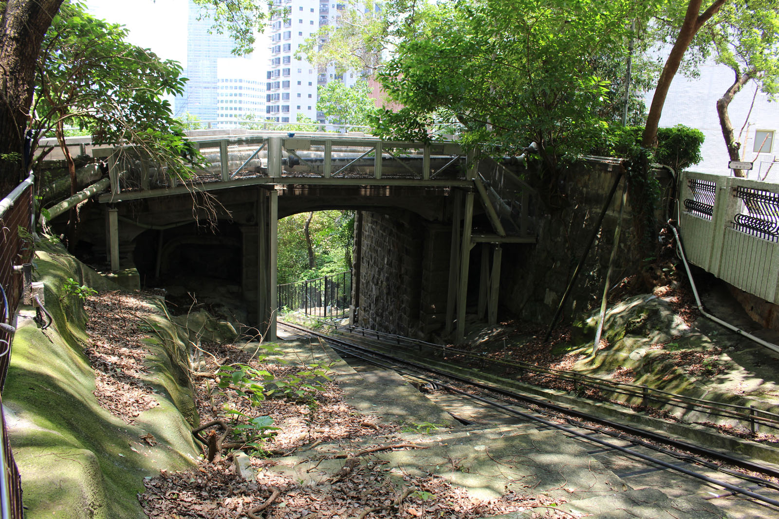 Photo 5: Central Green Trail