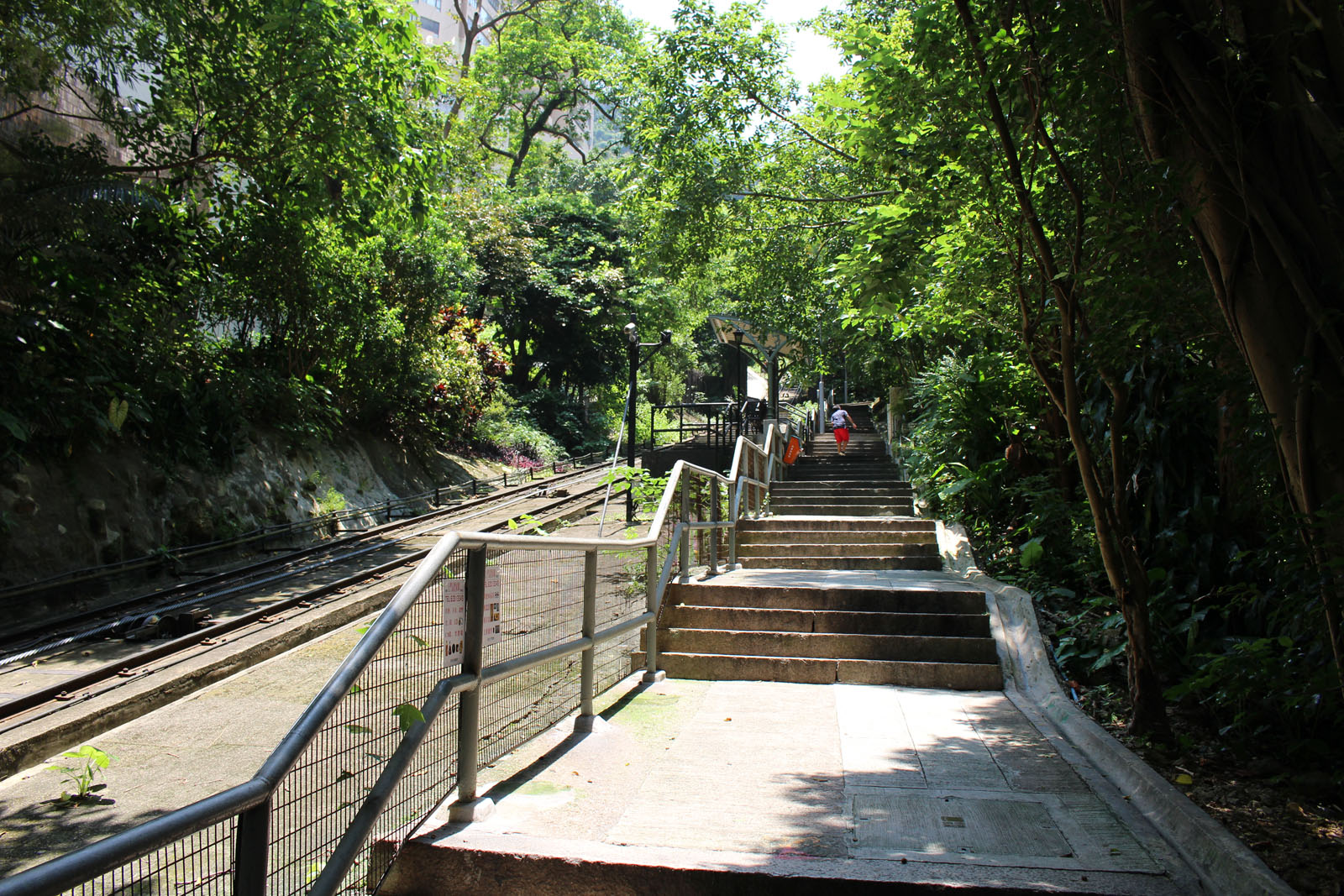 Photo 6: Central Green Trail