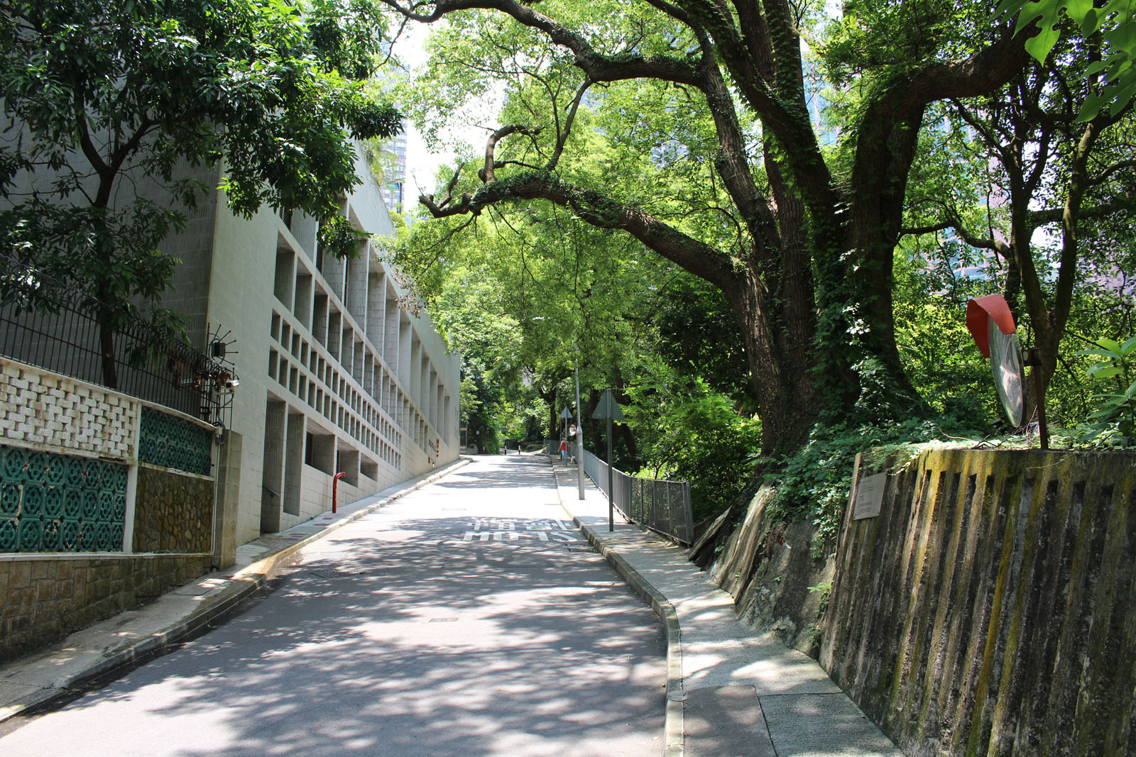 Photo 7: Central Green Trail