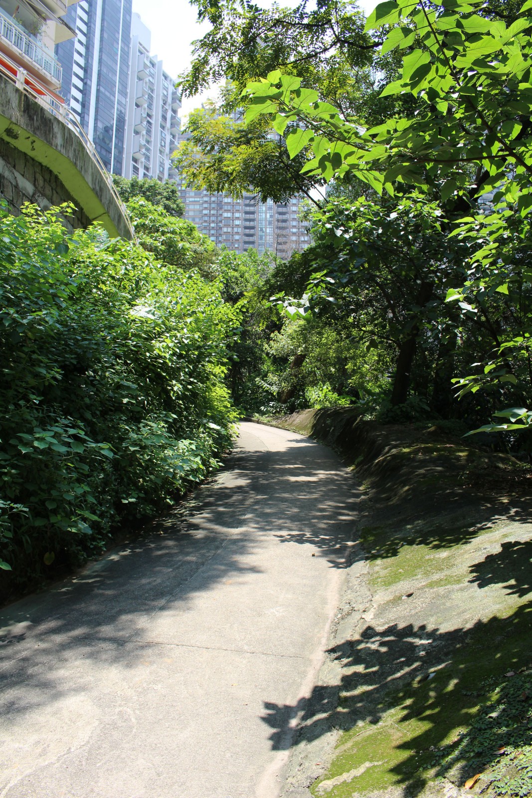 Photo 8: Central Green Trail