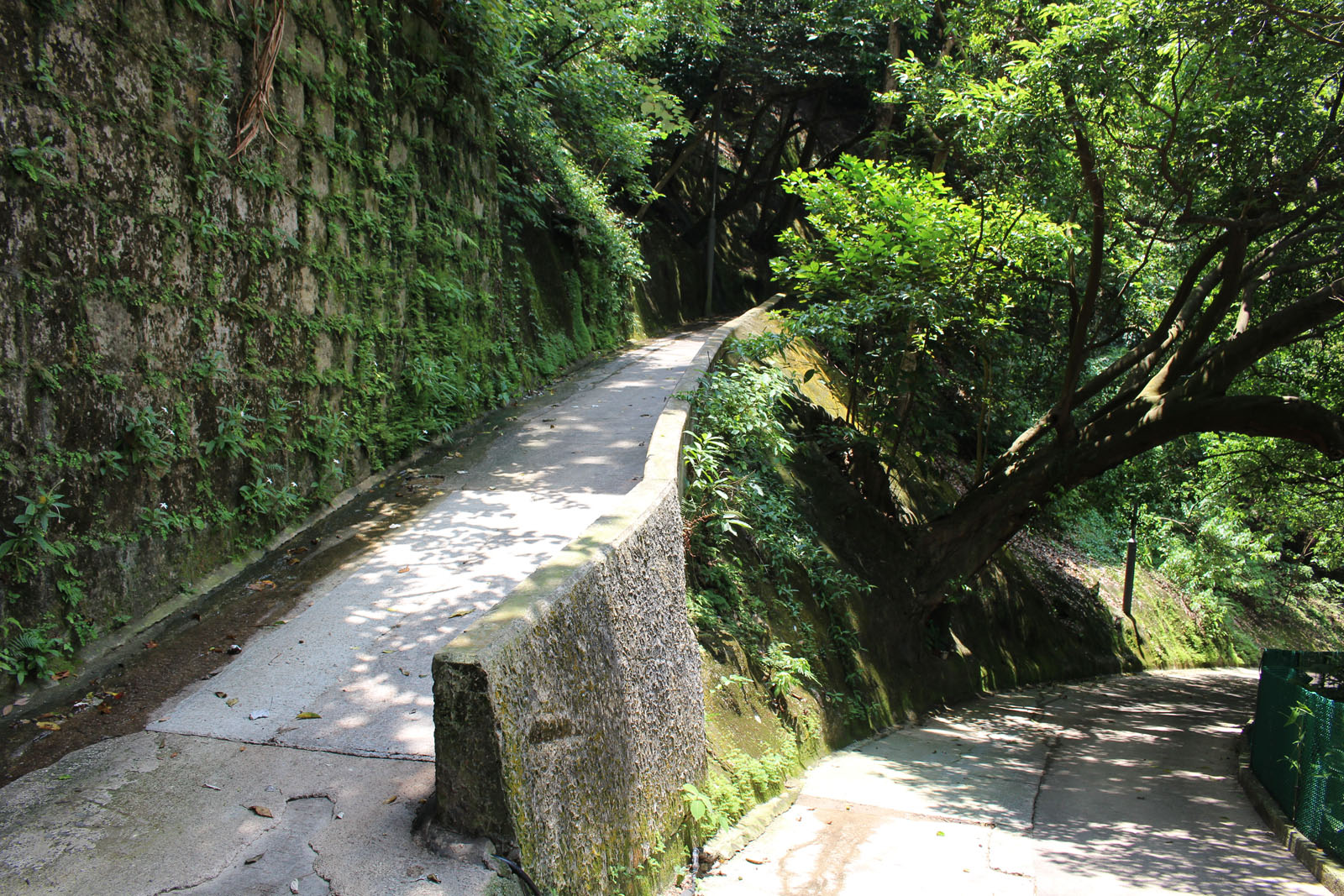 Photo 9: Central Green Trail