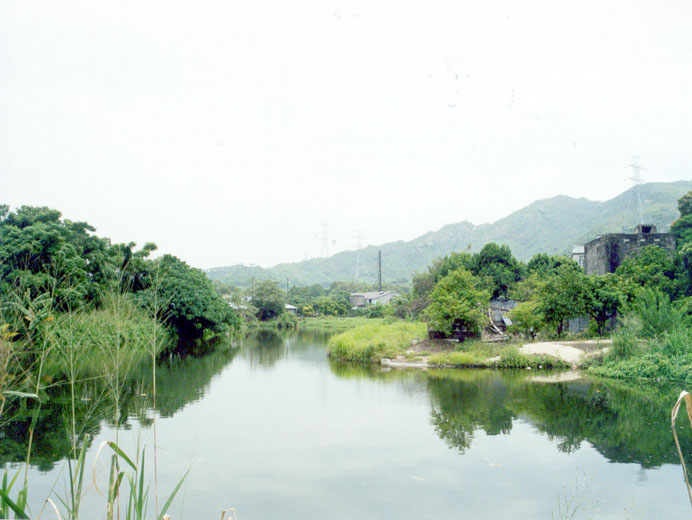 Photo 2: Ha Pak Nai