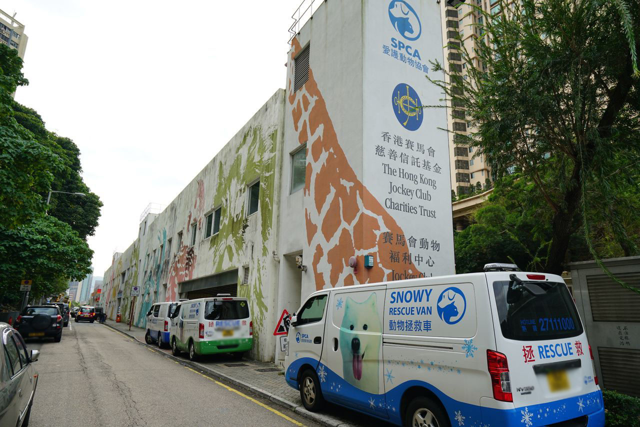 Society for the Prevention of Cruelty to Animals (HK) - Kowloon Centre