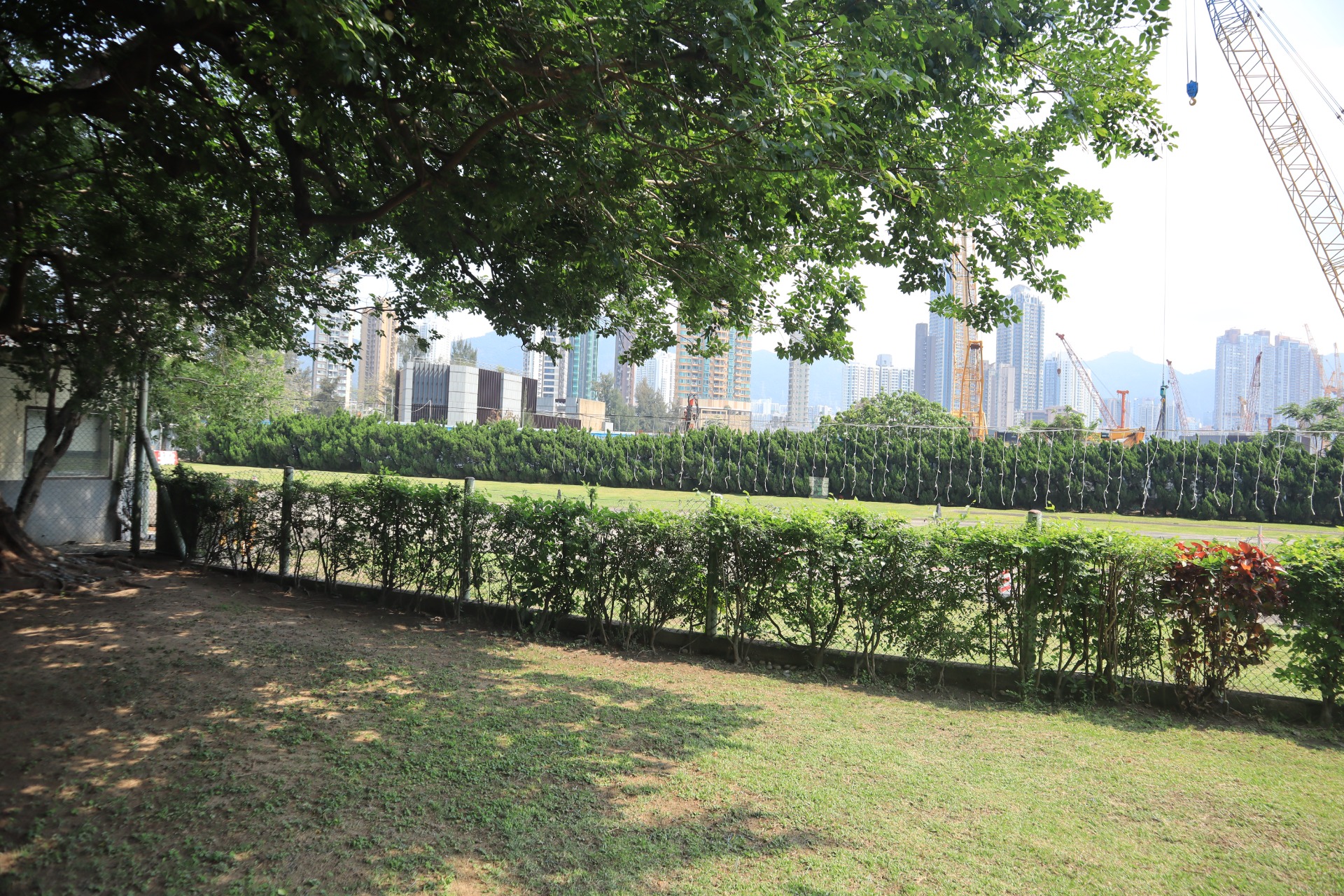 相片 4: 香港飞行总会