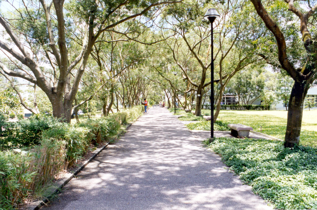 Photo 6: The Chinese University of Hong Kong