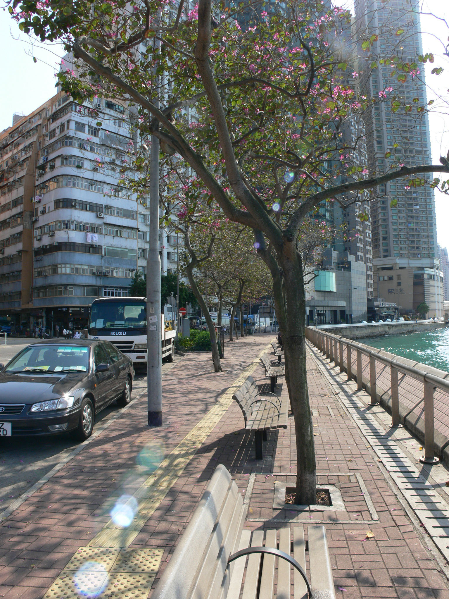 Photo 7: Sai Wan Waterfront