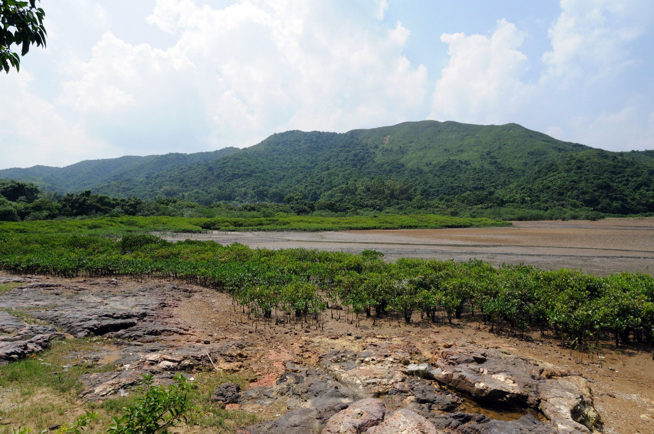 Photo 2: Yan Chau Tong Marine Park