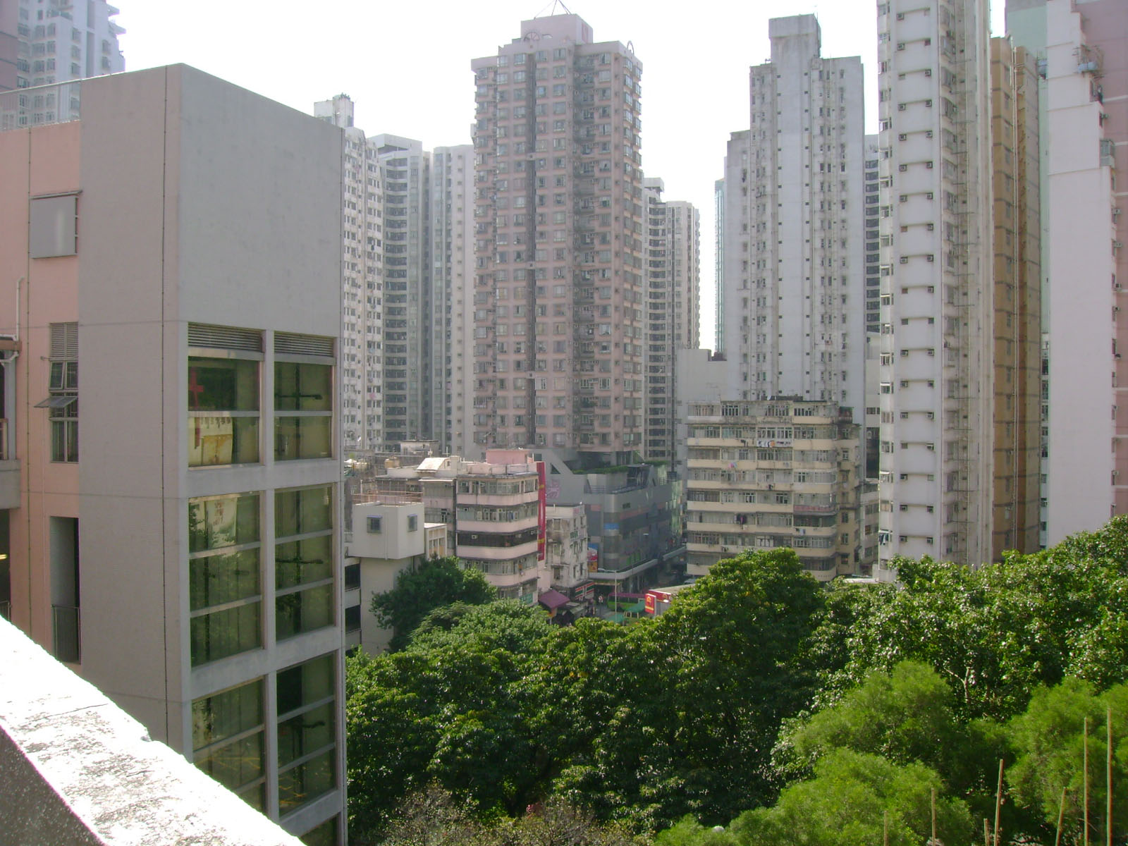 Photo 4: Yue Fai Court