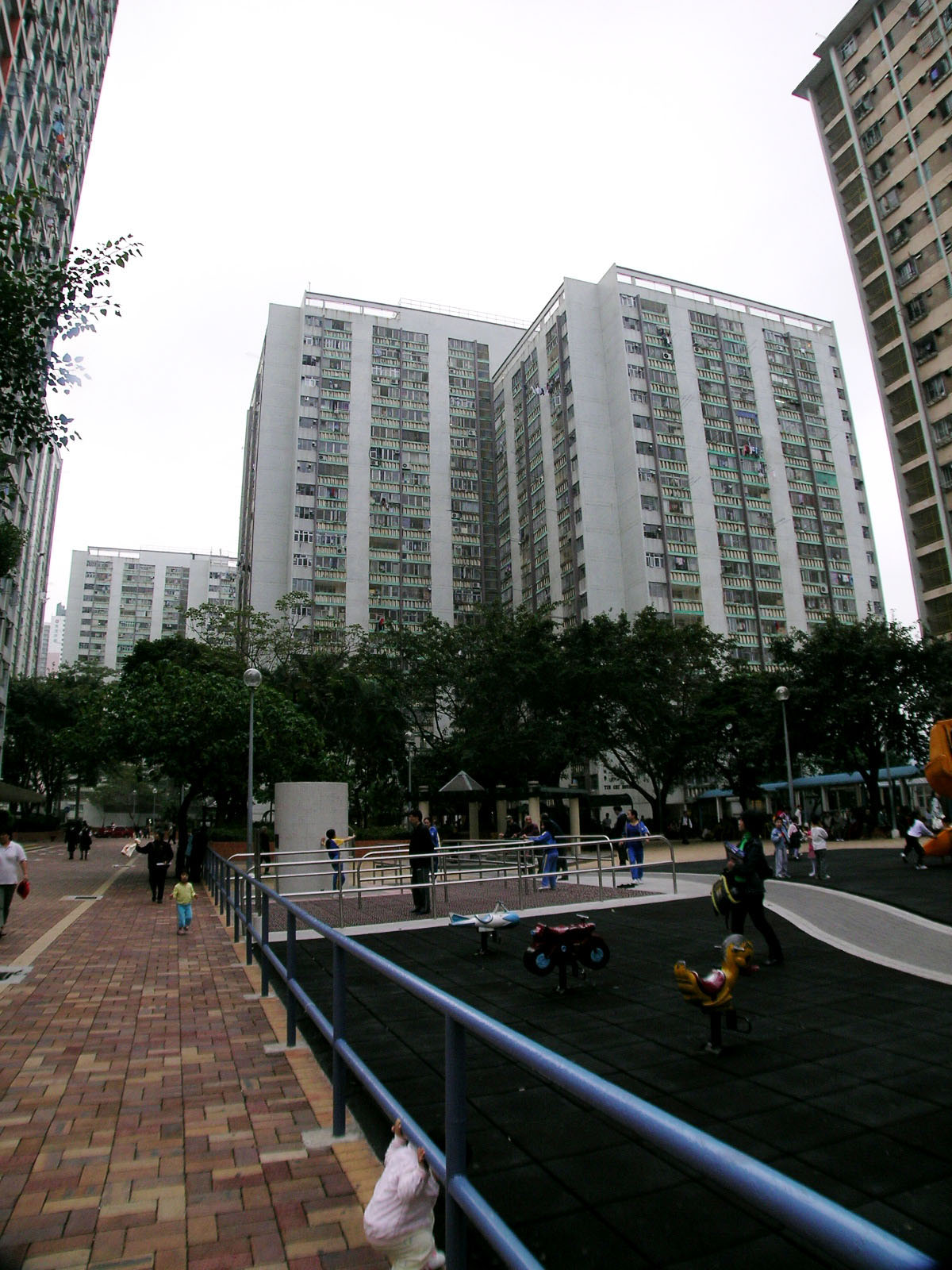 Photo 9: Shun Tin Estate