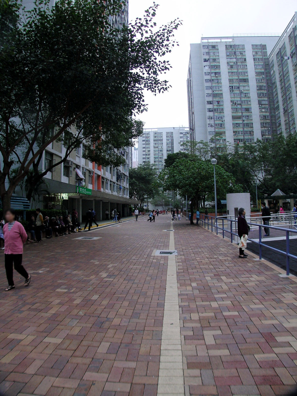 Photo 11: Shun Tin Estate