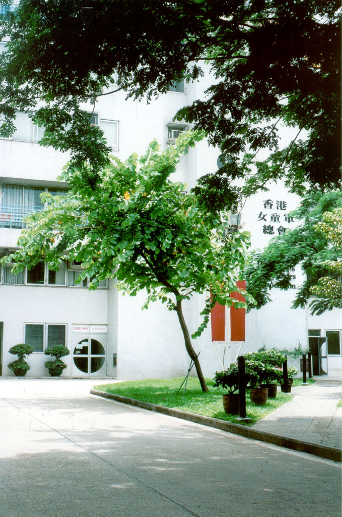 Photo 2: The Hong Kong Girl Guides Association Headquarters