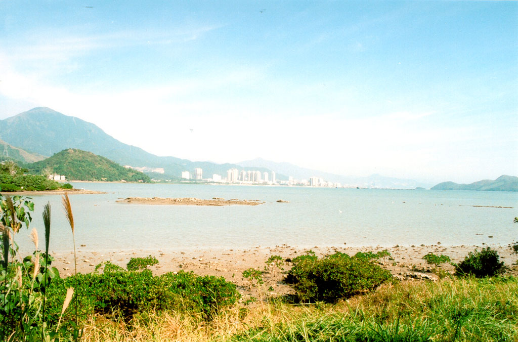 Wetland facing Sha Tau Kok Hoi