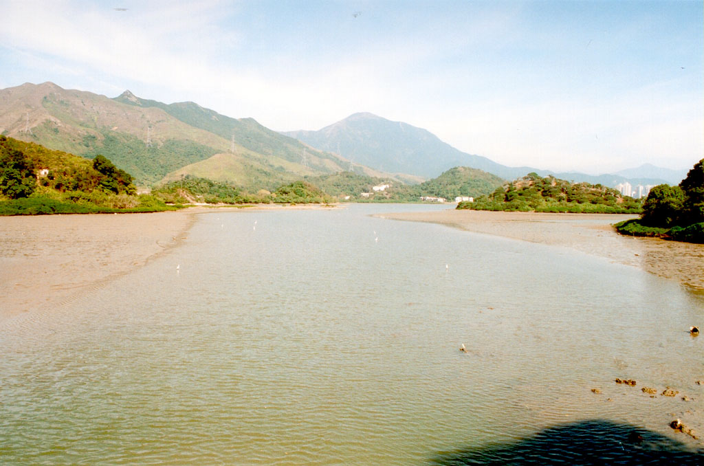 Photo 3: Wetland facing Sha Tau Kok Hoi