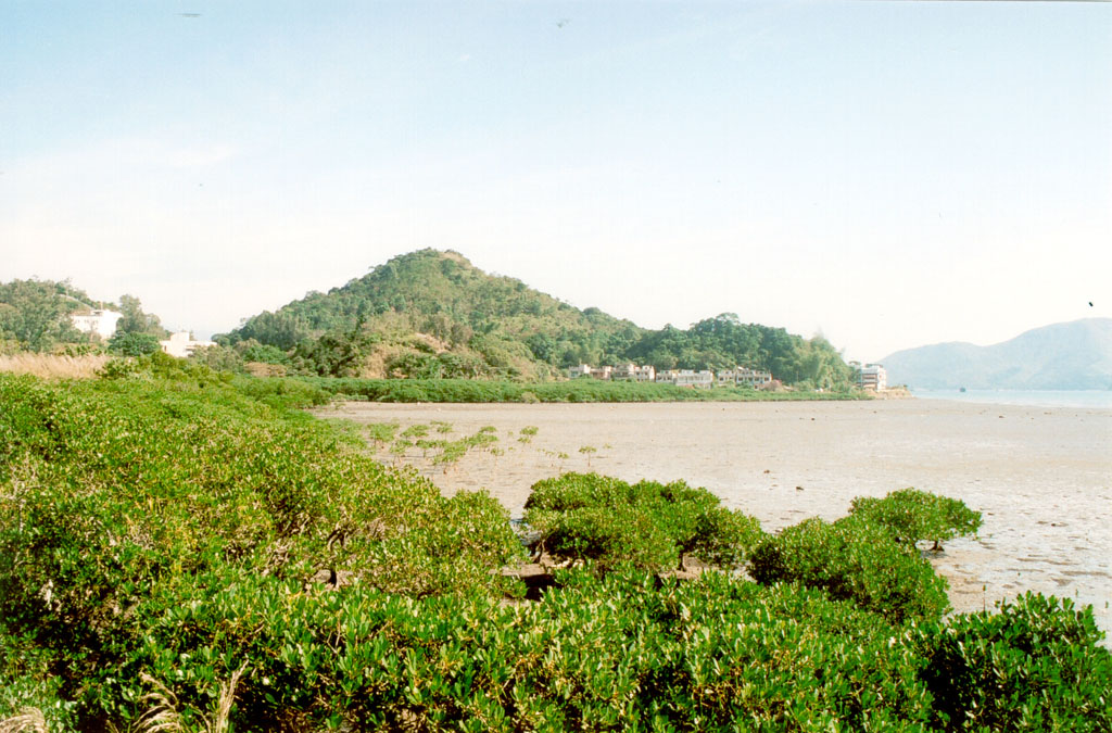 Photo 4: Wetland facing Sha Tau Kok Hoi