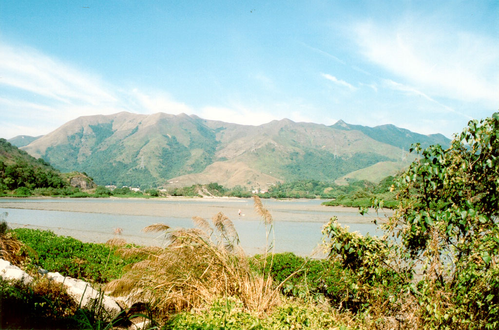 Photo 5: Wetland facing Sha Tau Kok Hoi