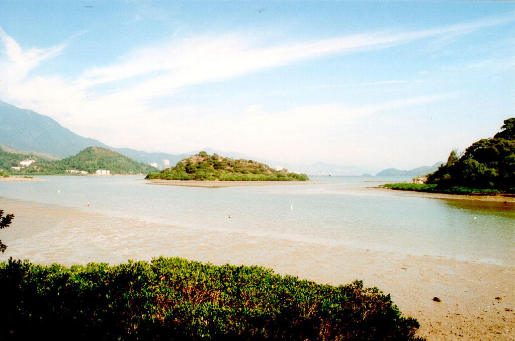 Photo 7: Wetland facing Sha Tau Kok Hoi