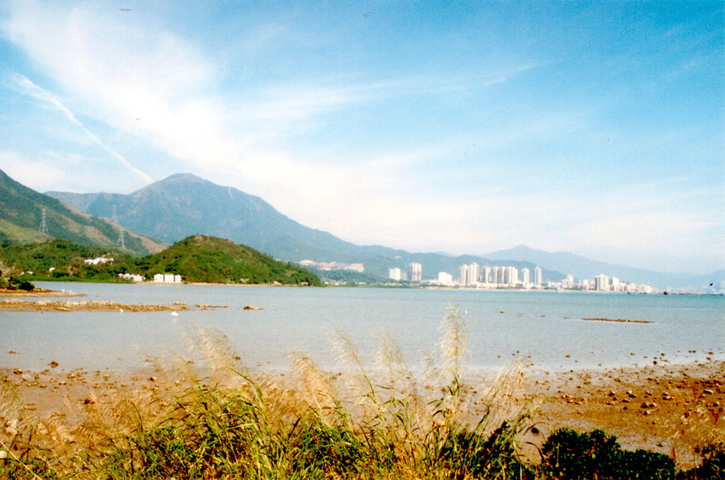 Photo 8: Wetland facing Sha Tau Kok Hoi