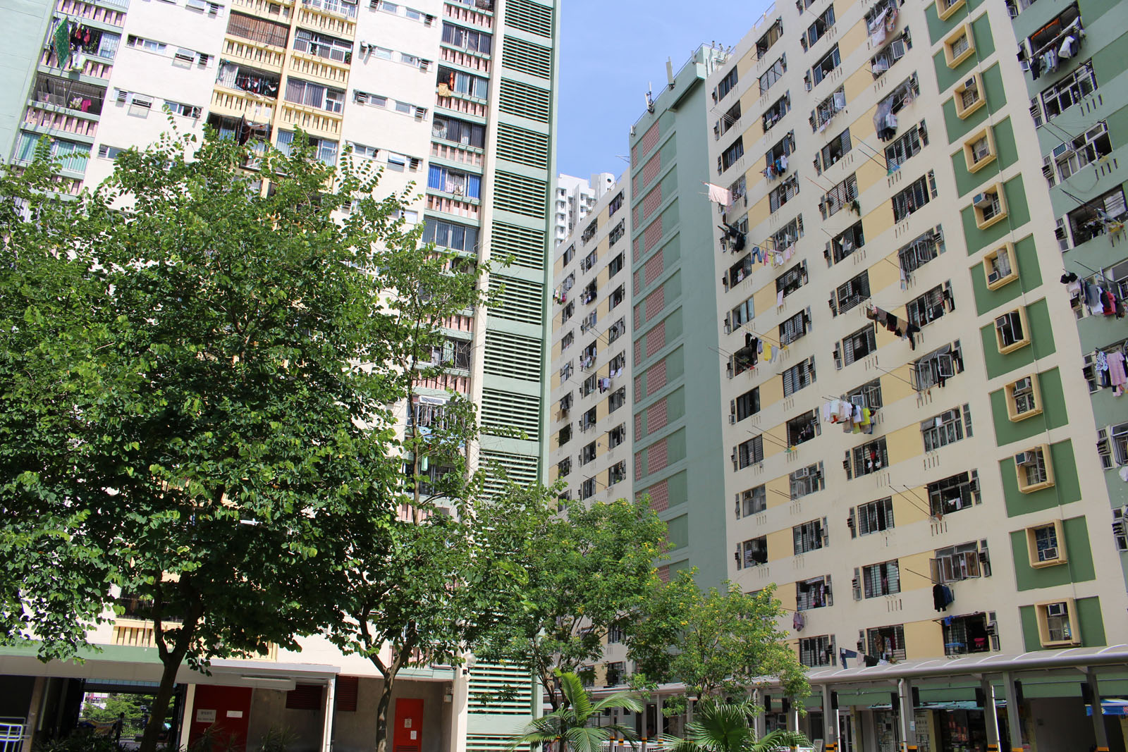 Photo 2: Lei Muk Shue Estate