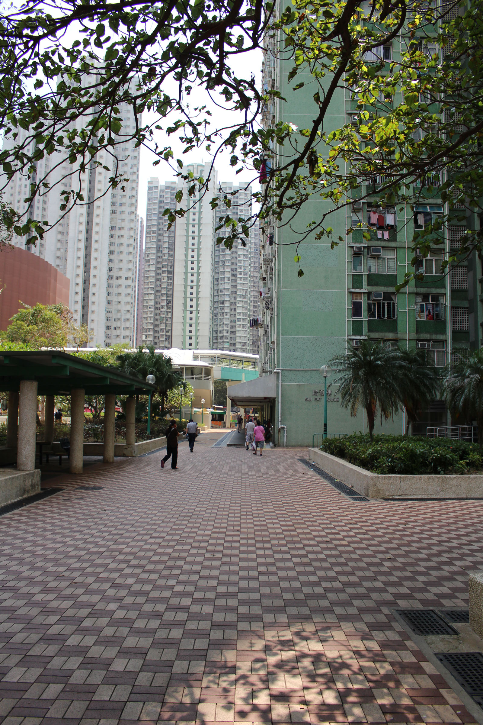 Photo 3: Siu Sai Wan Estate