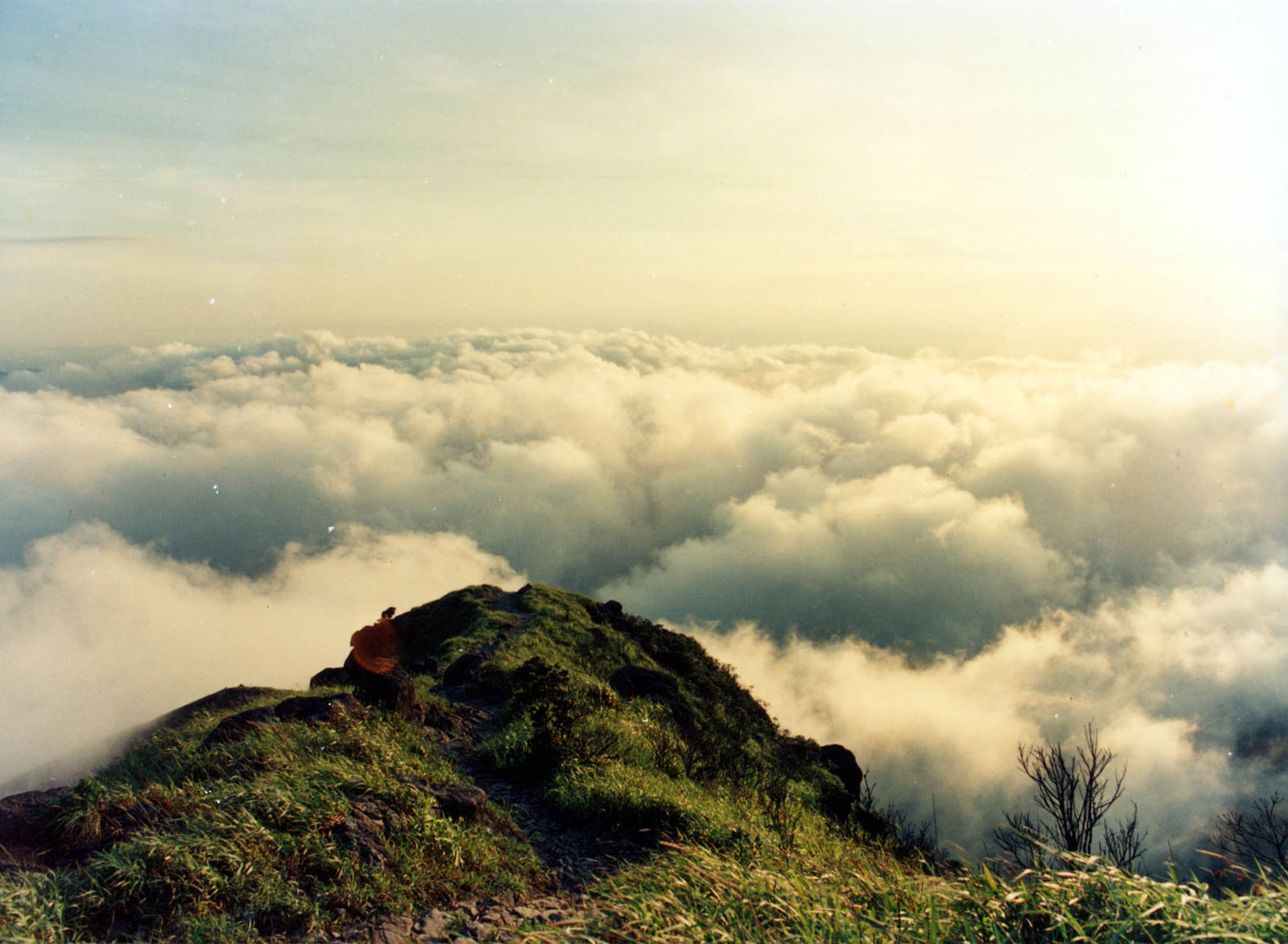 Lantau Trail