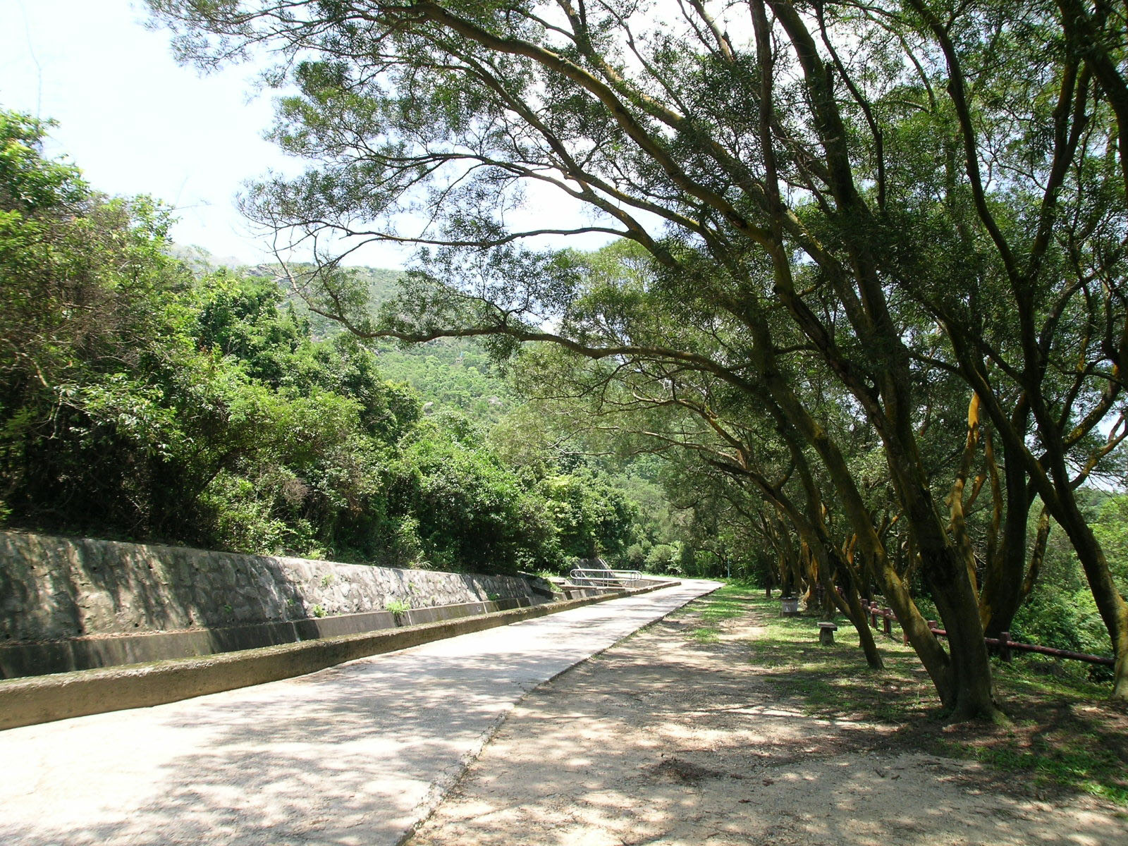 Photo 3: Lantau Trail