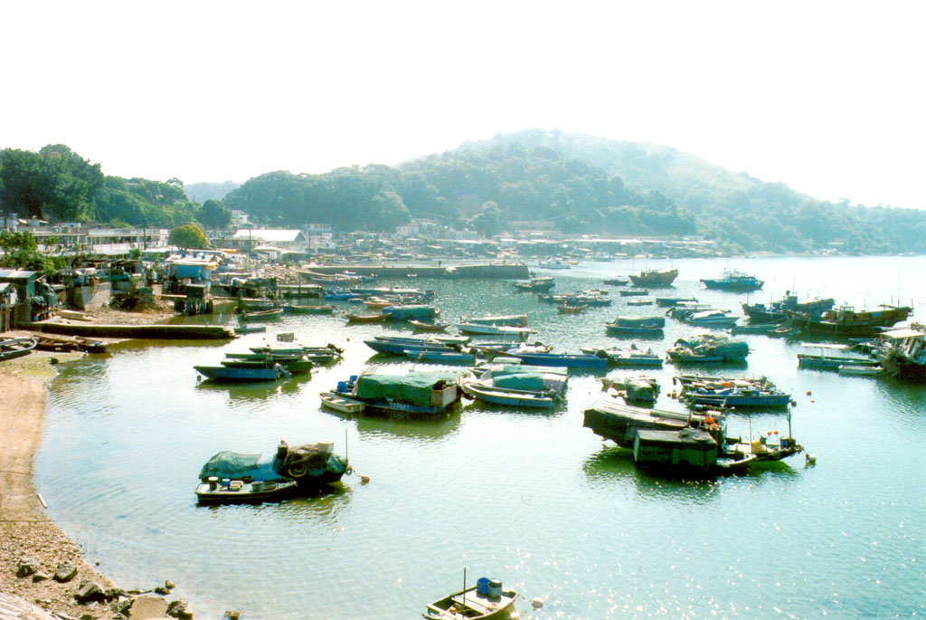 Photo 5: Shuen Wan Typhoon Shelter