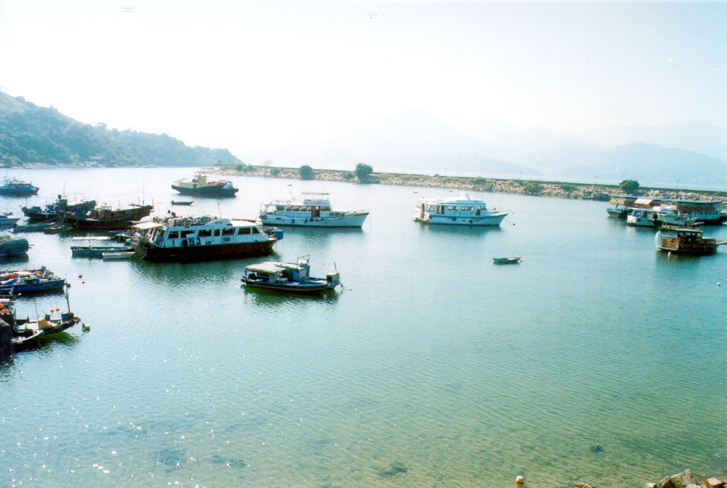 Photo 6: Shuen Wan Typhoon Shelter