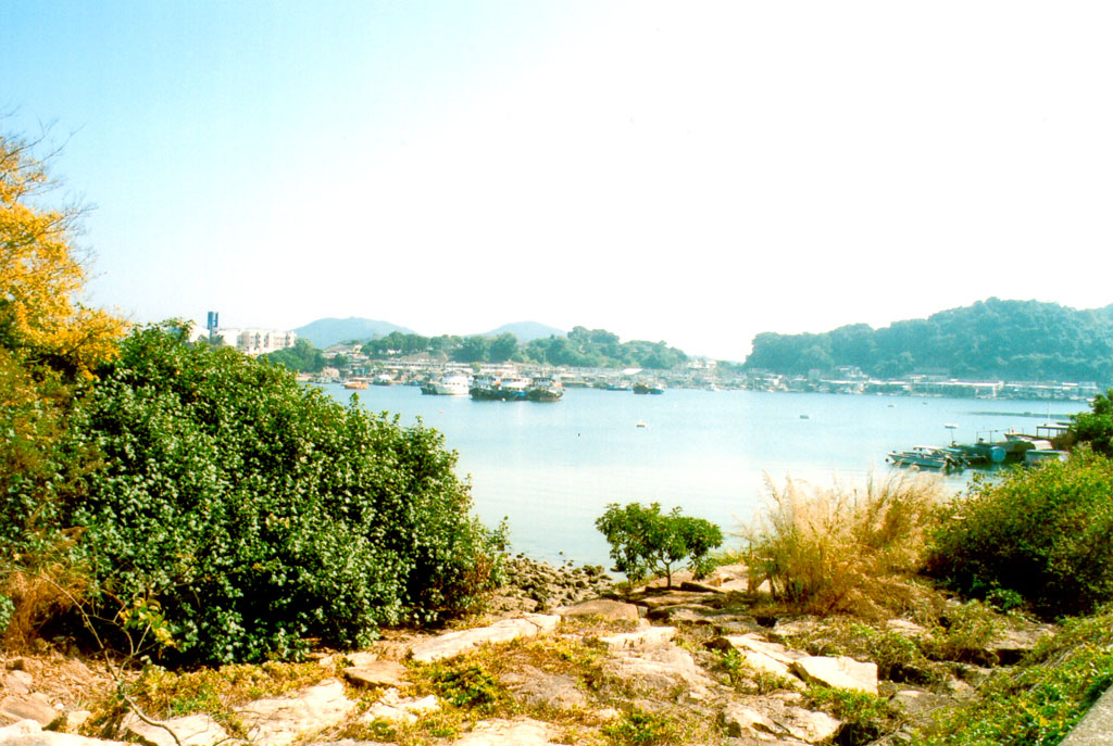 Photo 7: Shuen Wan Typhoon Shelter