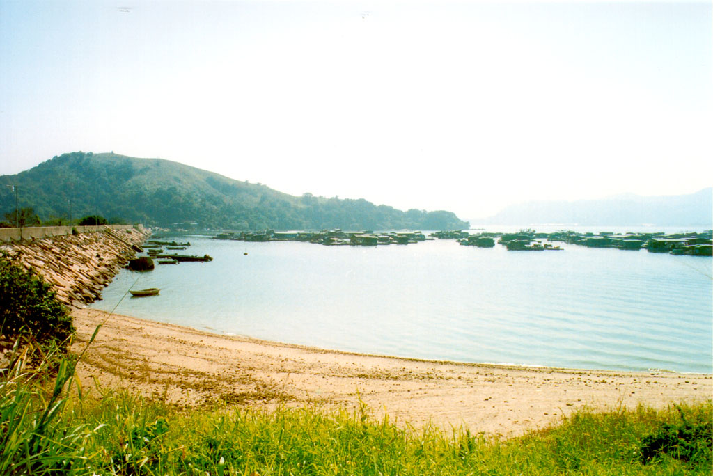 Photo 8: Shuen Wan Typhoon Shelter